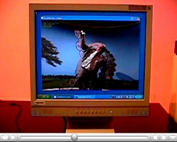 Kunst Video